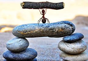 amjs澳金沙门线路(中国)有限公司首页