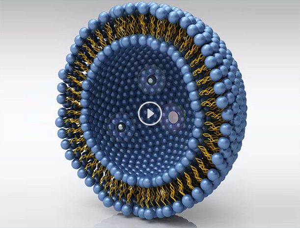 amjs澳金沙门线路(中国)有限公司首页