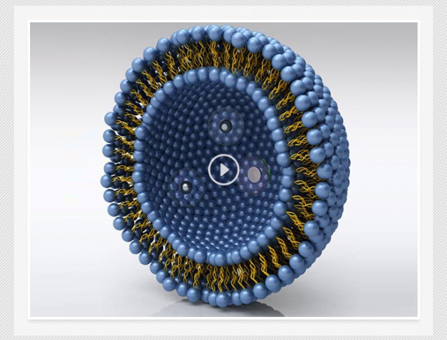 amjs澳金沙门线路(中国)有限公司首页