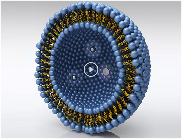 amjs澳金沙门线路(中国)有限公司首页