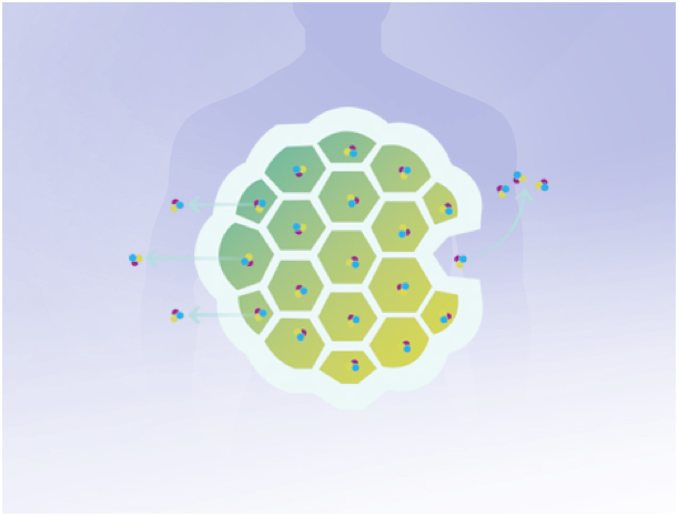 amjs澳金沙门线路(中国)有限公司首页