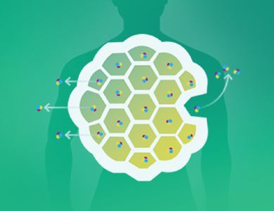 amjs澳金沙门线路(中国)有限公司首页